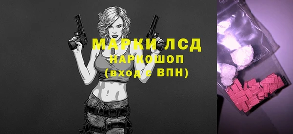 СК Медвежьегорск