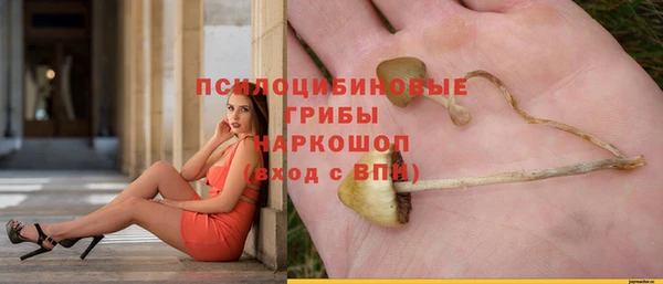 СК Медвежьегорск