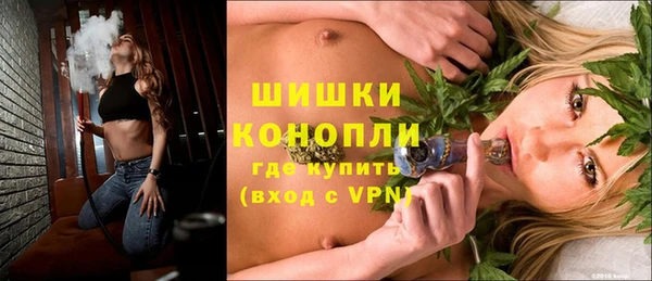 СК Медвежьегорск
