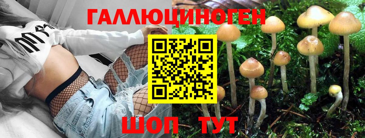 Гашиш  Вход с VPN  Марихуана  Сокол  ГАШИШ  МЕФ кристаллы  Alpha PVP СОЛЬ кристаллы 