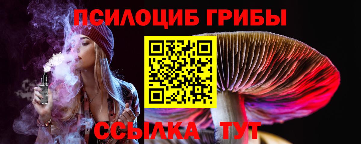 Псилоцибиновые грибы мицелий Сокол